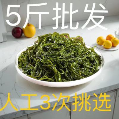 新鲜够嫩盐渍马尾藻鞭炮竹碱性海草谷穗龙须菜长寿菜酒店食材