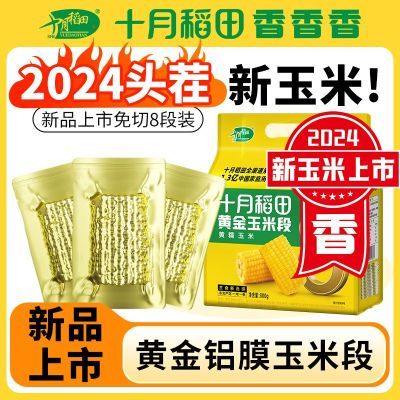 【24年新玉米】十月稻田东北黄糯玉米段8段 免切真空铝膜粒大低脂