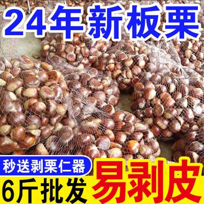 超低价】新鲜板栗现摘丹东板栗野生栗子非油栗生鲜毛栗子当季批发