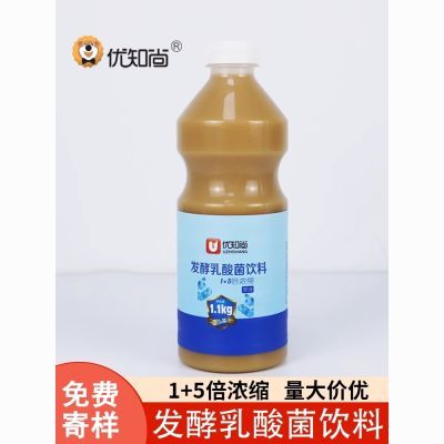 优知尚乳酸菌浓缩发酵商用饮品饮料原味奶茶专用益生菌1.1kg