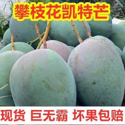 攀枝花当季凯特芒果新鲜采摘批发一整箱大青芒爆甜孕妇水果