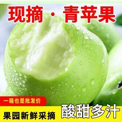 青苹果水果新鲜脆甜酸苹果应季批发一整箱孕妇平果山西非丑红富士