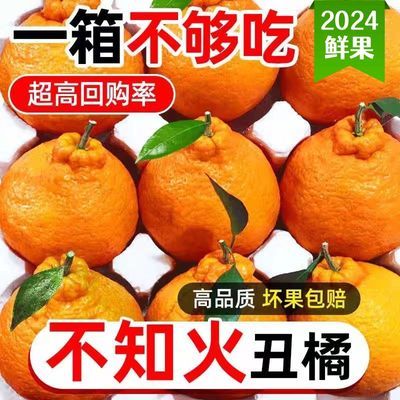 【2024新鲜上市】正宗早熟不知火丑橘高山橘子超甜批发四川耙耙柑