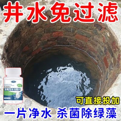 井水消毒片自来水漂白粉除藻杀虫食用饮用水净水片户外水质净化剂