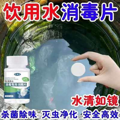 井水消毒片自来水漂白粉除藻杀虫食用饮用水净水片户外水质净化剂