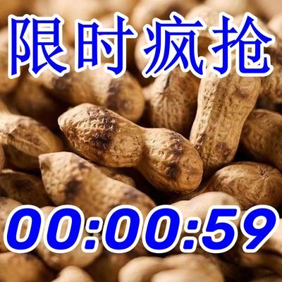 【特价】原味新货农家花生柴火铁锅炒花生炒熟带壳下酒菜批发价