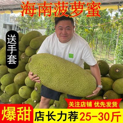 现摘海南黄肉菠萝蜜一整个孕妇新鲜当季热带水果干苞波罗蜜批发价