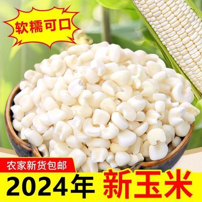 广西忻城糯玉米头去皮糯玉米粒 干颗粒珍珠玉米碴子脱皮煮粥糖水