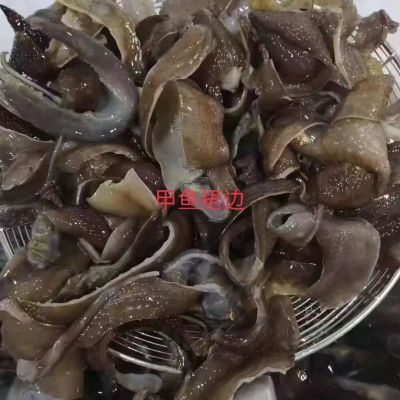 新鲜甲鱼裙边滋补煲汤水产食材甲鱼肉王八团鱼鳖裙边肉底板肉