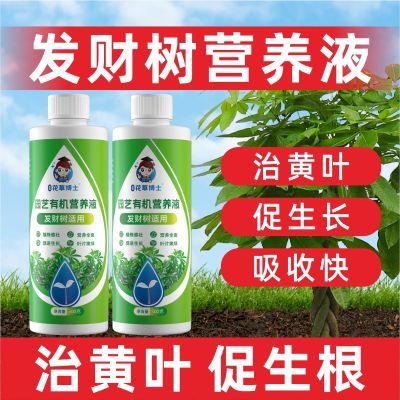 【正品】发财树专用营养液家用治黄叶绿叶植物防黄叶通用液体肥