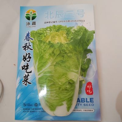 白菜种子大白菜种子黄心菜56春秋好吃菜春夏秋蔬菜种子基地用种