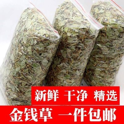 金钱草广西野生金钱草中草药广金钱草冲剂泡水金钱草茶金钱草干品