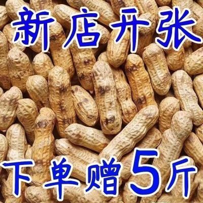 【今年新货】原味熟花生铁锅炒花生口感酥香饱满带壳熟花生云雾茶