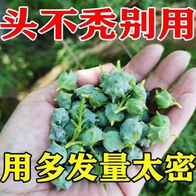 【官方正品】苗医堂洗发液防脱育发洗发水发功夫养发99%的选择