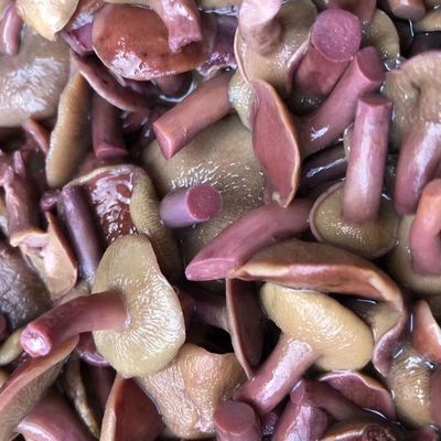 云南野生菌红乳牛肝菌中小号盐渍冻菌火锅食材新货松毛菌农家正宗