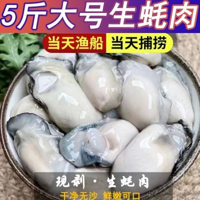 大号生蚝肉高品质新鲜生蚝肉鲜活现剥去壳原浆海蛎子肉牡蛎肉