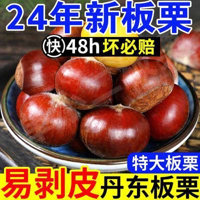 【特大6斤】现摘丹东板栗生栗子新鲜有机栗子油栗锥蔬菜半斤批发