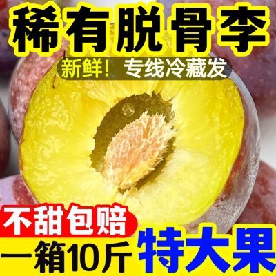 10万+复购】四川青脆李子茵红李空心脱骨李土半边红新鲜当季水果