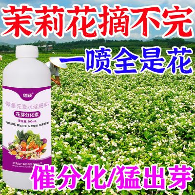 正品茉莉花专用细胞分裂素增产万斤催芽促花剂抗病促长高产叶面肥