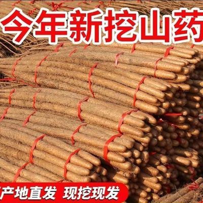 净重5斤 糯香甜垆土铁棍山药正宗河北蠡县麻山药产地直发蒸煮煲汤