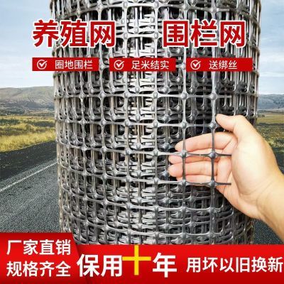 塑料围栏网养鸡鸭鹅围栏养殖网玉米网养鸡网果园围栏防护网鸡网