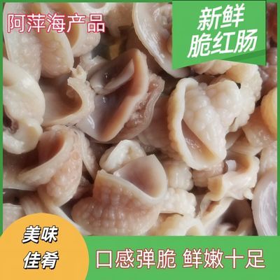 新鲜特级脆红肚别名鲨鱼肚 鲨鱼肠子肚丝 新鲜沙鱼猪肉脏制成包