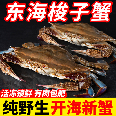 【满黄满肉】鲜活速冻东海大梭子蟹一整箱批发工厂直发新鲜冷冻