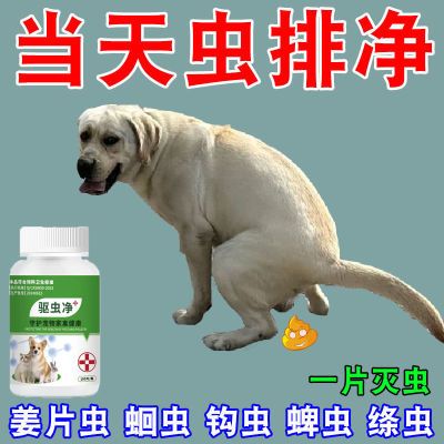 宠物驱虫药驱猫狗厌食不吸收驱虫寄生蛔虫钩虫内外同驱猫狗通用