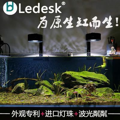 乐迪2024最新版本LED原生态溪流爆藻金鱼出苔三湖光谱鱼缸支架