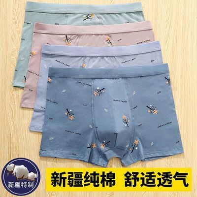 2-4条装 纯棉平角内裤男士四角裤头舒适透气中腰青年男士内裤衩优惠券