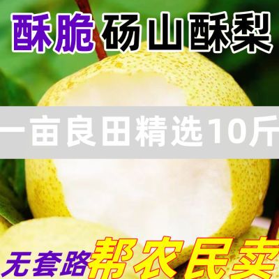 【不点后悔】安徽砀山梨皮薄脆甜当季现摘新鲜水果酥梨贡梨纯甜