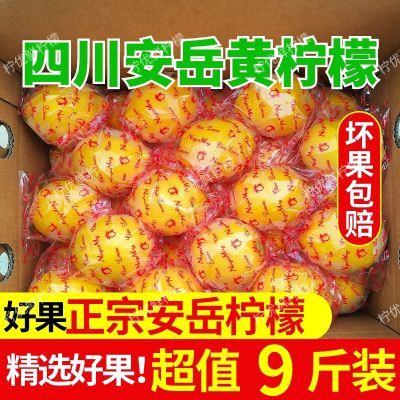 柠檬当季精选新鲜大果安岳非无籽柠檬新鲜薄皮水果榨汁整箱奶茶店