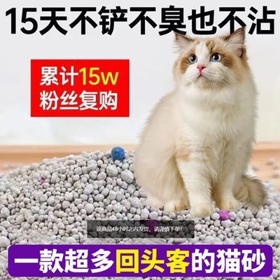 混合型膨润土猫砂20斤批发价抑菌柠檬味10斤结团特价除臭小猫