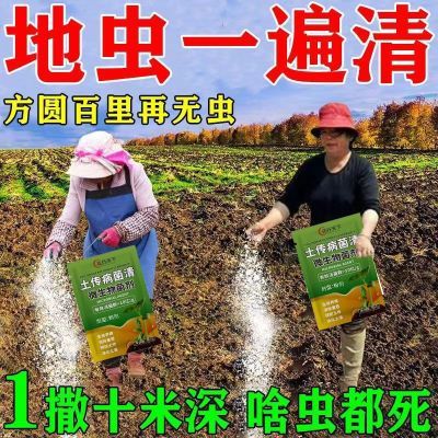 【攻地害虫】土壤菜虫蛆蝼蛄潮虫蛴螬根蜈蚣爬菜地通用杀虫颗粒剂