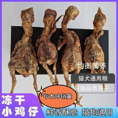 小鸡仔零食小鸡仔非鹌鹑口味佳性价比高狗猫冻干清仓猫狗零食专用