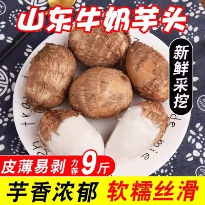 山东牛奶芋头新鲜现挖小毛软糯香滑农产品芋艿新鲜蔬菜竽头小香芋