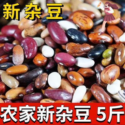 杂芸豆农家自产杂豆组合腰豆红豆沙八宝粥原料杂粮混合豆类大全