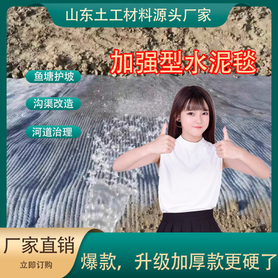 超级防水浇水固化可定制水泥毯鱼塘护坡沟渠改造专用新型固水毯