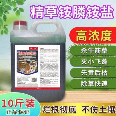 精草铵膦铵盐高浓度斩草除根果园荒地行间园林用正品除草剂10斤装