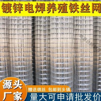 防锈铁丝网养鸡围栏网大眼鹅围栏铁网格网农用围地网农田防护网