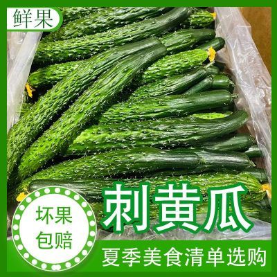 山东青皮黄瓜带刺黄瓜水果青瓜新鲜生吃蔬菜当季孕妇即食农家自种