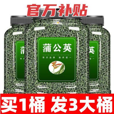 【免洗正品】蒲公英泡水喝散装蒲公英正品清热熬夜茶养生长白山茶