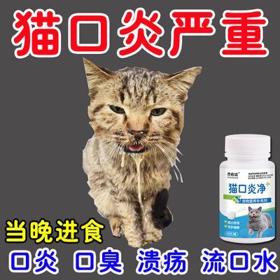 猫口炎清片猫口炎药片猫口臭猫咪口腔流口水牙龈消炎狗狗口腔除臭