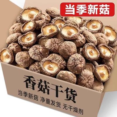 【店铺活动】香菇干货蘑菇菌菇冬菇肉厚煲汤食材非绿 茶 日照绿茶