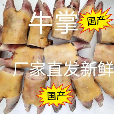 包邮新鲜牛掌牛蹄掌牛脚牛爪子自家散养黄牛带骨生牛掌冷链直发