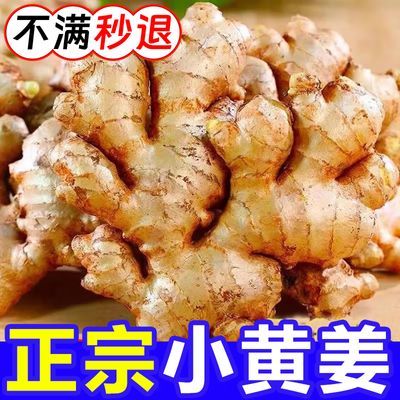 696万+复购】云南小黄姜新鲜现挖生姜特级月子姜整箱蔬菜批发嫩姜