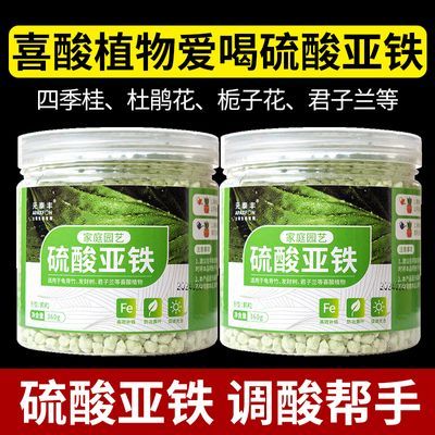 硫酸亚铁酸性花用桂花植物米兰月季茶花杜鹃防黄叶家用调酸碱