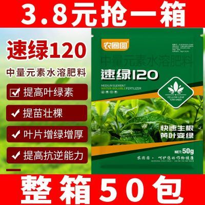 高效叶绿素120生根提苗绿叶片增厚增绿花卉果树蔬菜通用水溶肥