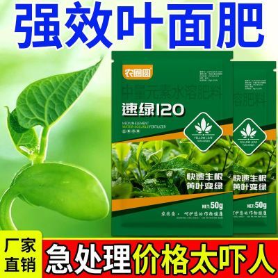 叶绿素120叶面肥生根提苗绿叶片增厚增绿花卉果树蔬菜通用水溶肥