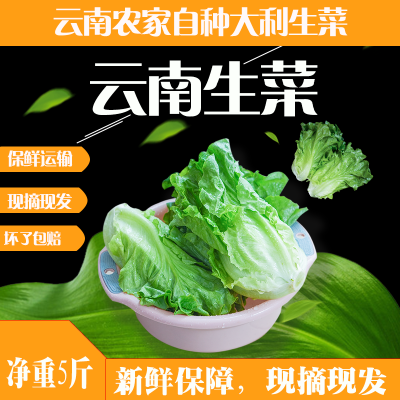 当季新鲜生菜一整箱价格便宜包邮到家火锅包烤肉用的生鲜很好吃